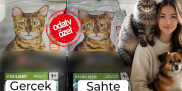 her-4-evden-birinde-evcil-hayvan-var-sahte-mama-alarmi-paketine-aldanmayin-svyy.jpg