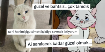 s-9332e9fbe976858d68e3e1cf02f3ee1e46e9659a.jpg