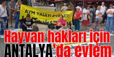 hayvan-haklari-icin-antalyada-eylem-192802-20250507.webp.webp