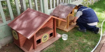 kedi-evi.png
