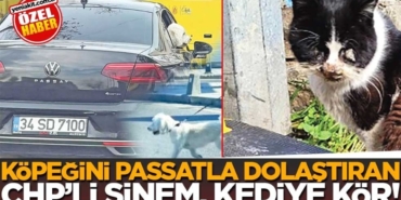 kopegini-passatla-dolastiran-chpli-sinem-kediye-kor-2h1769946900-591bf6.jpg