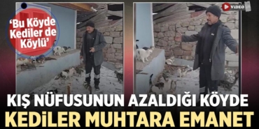 koyde-kedile-muhtara-emanet-hm.jpg