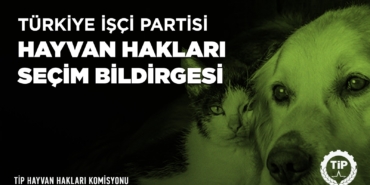 TURKIYE-ISCI-PARTISI-HAYVAN-HAKLARI-SECIM-BILDIRGESI-1.jpeg