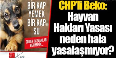 chp-li-beko-hayvan-haklari-yasasi-neden-hala-yasalasmiyor.jpg