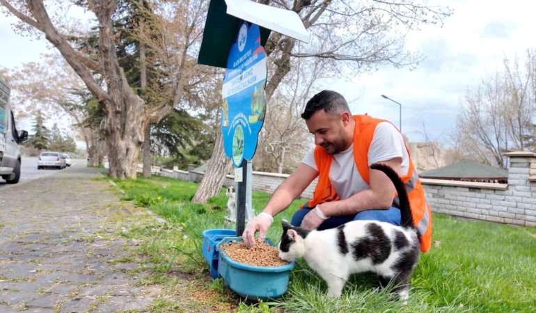 elazig-da-sokak-hayvanlarina-mama-destegi-sur-19763575_amp.jpg