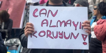 hayvan-haklari.jpg