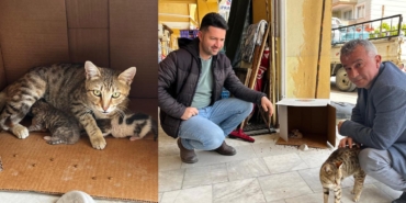 isyerinde-dogan-kedi-yavrularina-esnaflar-sahip-cikti_69edc6120f6d9_h.jpg
