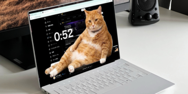 kedi.png