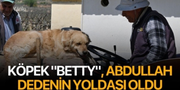kopek-betty-abdullah-dedenin-yoldasi-oldu_69ef3e9d7c4c1_h.jpg