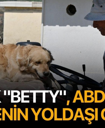 kopek-betty-abdullah-dedenin-yoldasi-oldu_69ef3e9d7c4c1_h.jpg