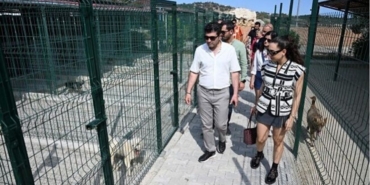 mersin_barosu_hayvan_haklari_komisyonu_patikoyu_ziyaret_etti_h85832_4ce76.jpeg