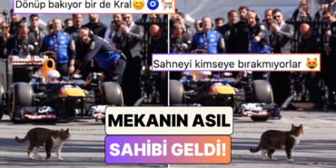 s-a552e0a941cc32e88c0c56987fcbf4036d496459.jpg