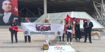 1779364106_antalyada-kus-olumleri-tepki-cekti-aglar-olum-tuzagina-donustu-6a0c5b85846b6.png