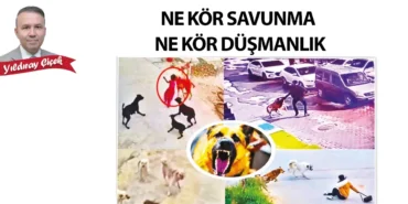 977-ne-kor-savunma-ne-kor-dusmanlik.webp.webp