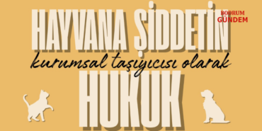 Bodrum-da-Hukuk-ve-Hayvan-Haklari-Paneli-18-Mart-ta2-1773730352-651549675-1773730352-1676634278.png