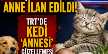 adsiz-tasarim-11-107.png
