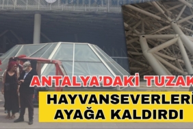 antalyadaki-hayvan-tuzagi-hayvanseverleri-ayaga-kaldirdi-1.jpg