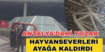 antalyadaki-hayvan-tuzagi-hayvanseverleri-ayaga-kaldirdi-1.jpg