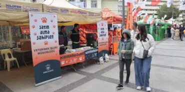 b3f7dd10-7fdc-41a7-8269-b711c73d8355.jpeg