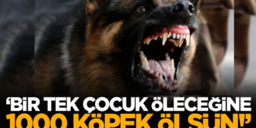 bir-tek-cocuk-olecegine-1000-kopek-olsun-2h1778225847-4286e1.png