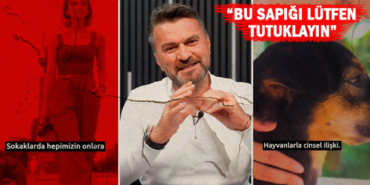 bu-sapigi-lutfen-tutuklayin-51j8_cover.jpg