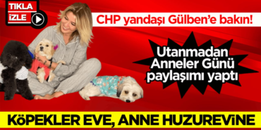 chp-yandasi-gulbene-bakin-kopekler-eve-anne-huzurevine-2h1778484329-14ae3d.png