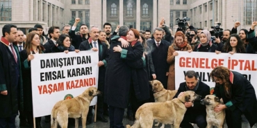danistay-karar-sokak-hayvanlari-genelgesi-iptal-belekoma-haber.jpg