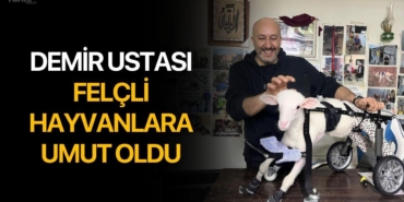 demir-ustasi-felcli-hayvanlara-umut-oldu_69f8a5b15e4ad_h.jpg