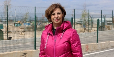 eskisehir-de-11-ayda-3-bin-100-sahipsiz-kopek-19863477_amp.jpg