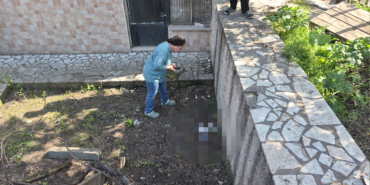 eskisehirde-supheli-kedi-olumleri.png