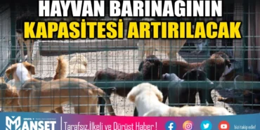 hayvan-barinaginin-kapasitesi-artirilacak-002228-20260507.webp.webp