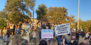 hayvan-haklari-savunuculari-onurlu-bir-durusla-yasam-hakkini-savunun.jpg