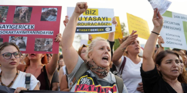 hayvan-haklari-savunuculari-sesimizi-her-zamankinden-cok-yukseltmeliyiz.jpg