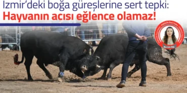izmir-deki-boga-gureslerine-sert-tepki-yenigun6.webp.webp