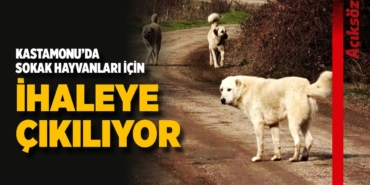 kastamonuda-sokak-hayvanlari-icin-ihaleye-cikiliyor-5.jpg
