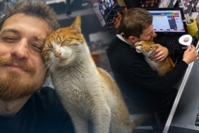 kedi-1jpg-IAFwwTGVyk6p6hrxkEYfFw.jpg