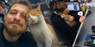 kedi-1jpg-IAFwwTGVyk6p6hrxkEYfFw.jpg