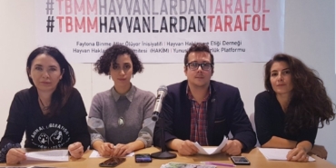 manset_hayvan.jpg