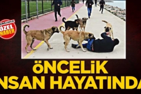 oncelik-insan-hayatinda-2h1779048641-8e893c.jpg