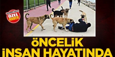 oncelik-insan-hayatinda-2h1779048641-8e893c.jpg
