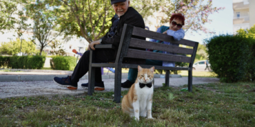 papyonlu-kedi-foca-emekli-ciftin-ha-whup.jpg