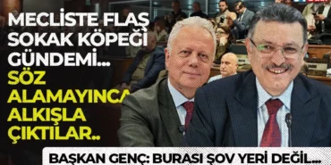 v-f-c-d-x-s-7.webp.webp