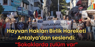 vildan-ozkan-2025-09-22t133804151.jpg
