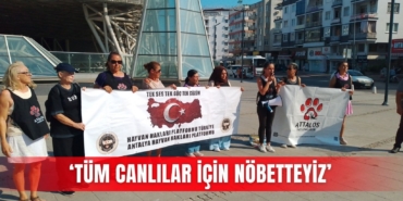 1782299751_haber-kopyasi-10-156.jpg