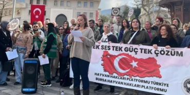 1909547-bursa-da-hayvan-haklari-cagrisi-barinaklar-ve-yasam-alanlari-gundemde-69d2b467bdd89.webp.webp