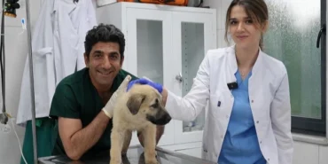20260606-gursudaki-hayvan-rehabilitasyon-merkezi-can-dostlara-umut-oluyor-853292.webp.webp