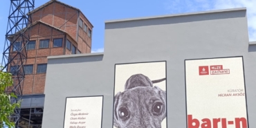 202606161455251-img.jpeg
