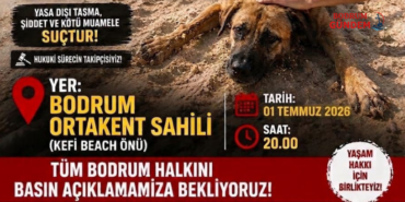 Bodrum-da-Adalet-ve-Yasam-Hakki-Cagrisi1-1782829271-826250213-1782829271-193281916.png