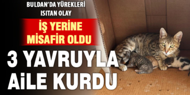DenizliHaber-SLiDER-DiK-Kurtarildi-25.jpg