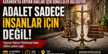 a-d8-a7-b29-b01-4635-a-a-e-b-d-d-d-a00-f78432.png